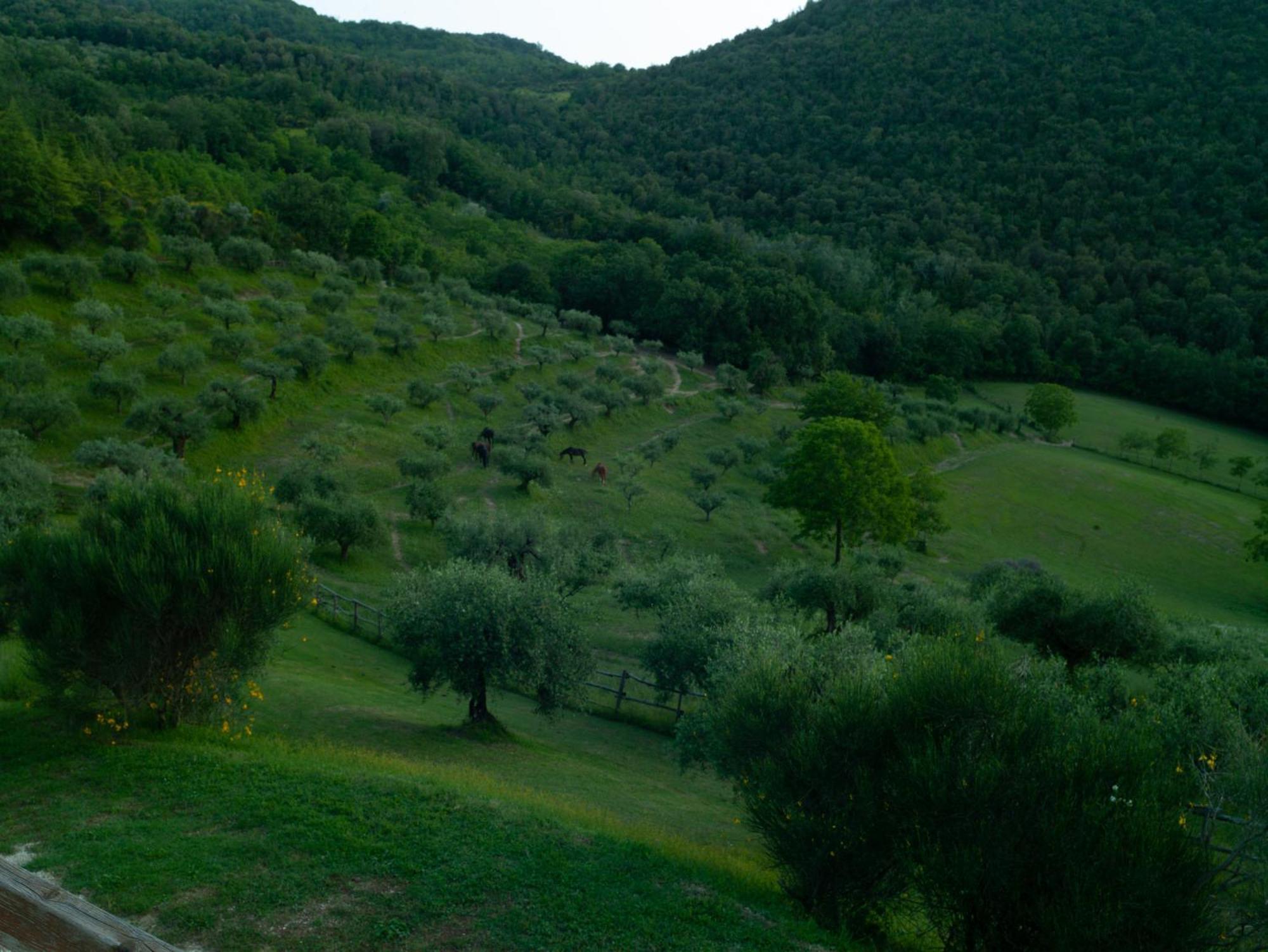 Agriturismo La Fonte Перуджа Екстер'єр фото