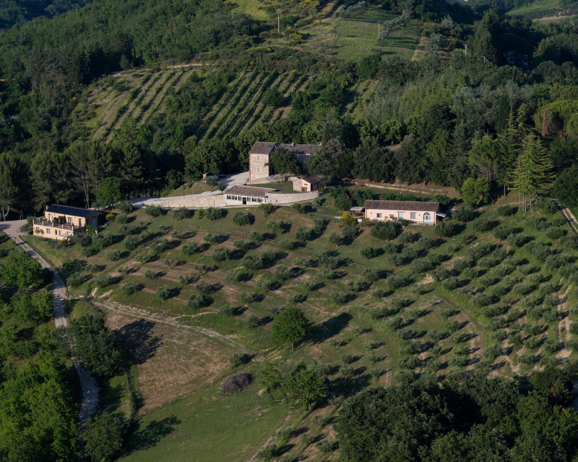 Agriturismo La Fonte Перуджа Екстер'єр фото